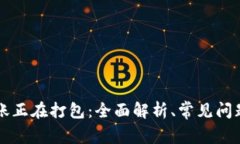 tpWallet转账正在打包：全面