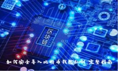 如何安全导入比特币钱包