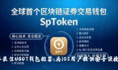 2023年最佳USDT钱包推荐：为