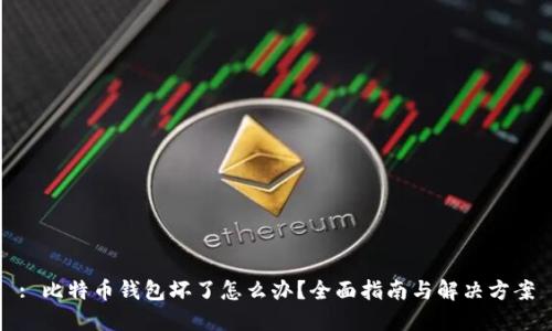 : 比特币钱包坏了怎么办？全面指南与解决方案