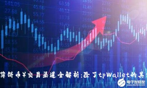 薄饼（薄饼币）交易渠道全解析：除了tpWallet的其他选择