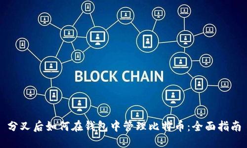 分叉后如何在钱包中管理比特币：全面指南